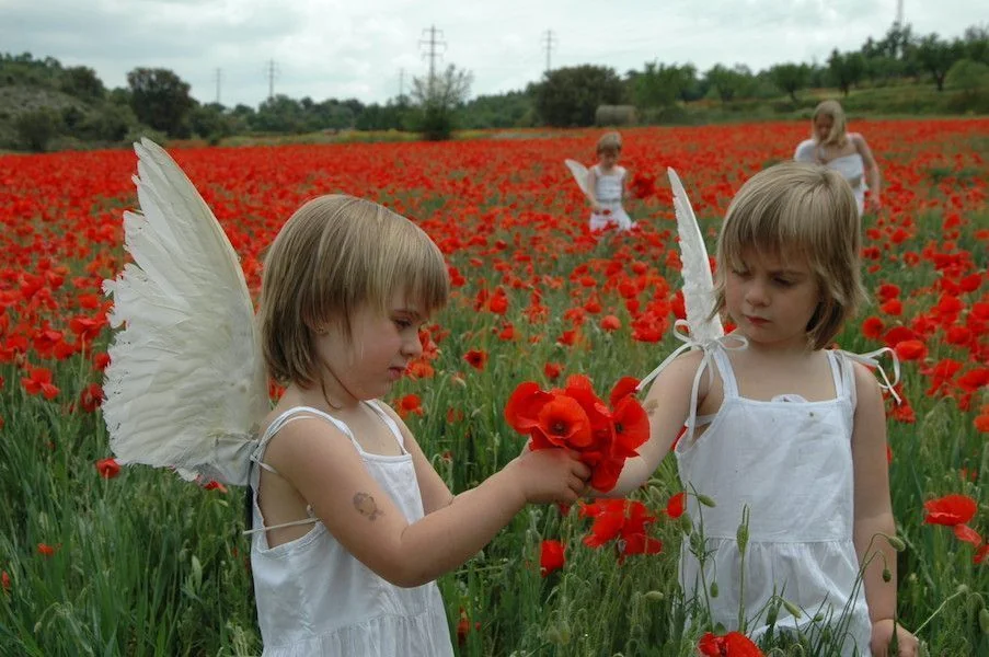 Ángeles en la Nueva Era: niñas con alas de ángel en un campo de amapolas Niñas vestidas de ángel con alas blancas compartiendo amapolas rojas en un campo de flores